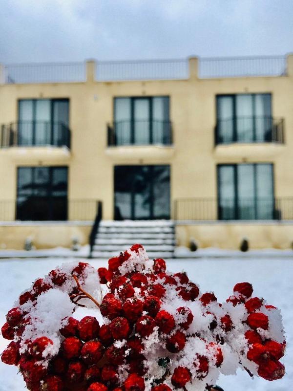 Hotel Horizon Kazbegi Dış mekan fotoğraf